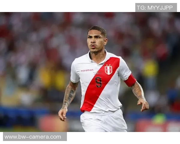 秘鲁足球历史十大巨星排名与传奇球员回顾