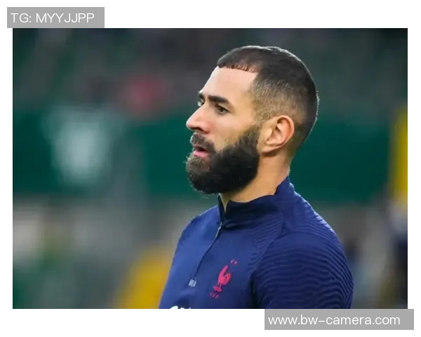 法国足球明星本泽马个人生平及职业成就全方位解析