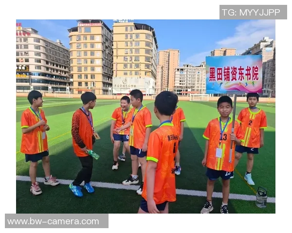 绿茵场上群星闪耀描绘足球少年并肩追梦的热血同人故事